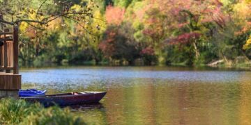 Travis Scott Set to Perform in New Delhi This Year—Check Date!