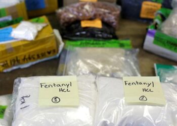US Intelligence: India Ranks High in Illegal Fentanyl Supply