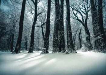 ai generated 7500014 960 720.jpg