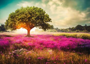 ai generated 7592245 960 720.jpg