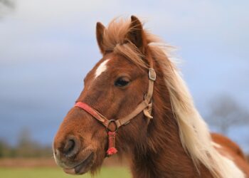 ai generated 8594563 960 720.jpg