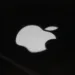 apple 1835211 960 720.jpg