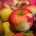 apples 490474 960 720.jpg