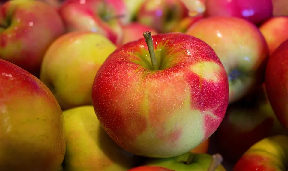apples 490474 960 720.jpg