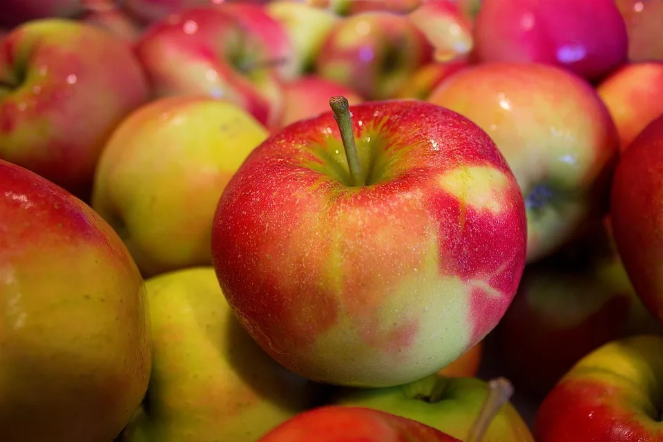apples 490474 960 720.jpg