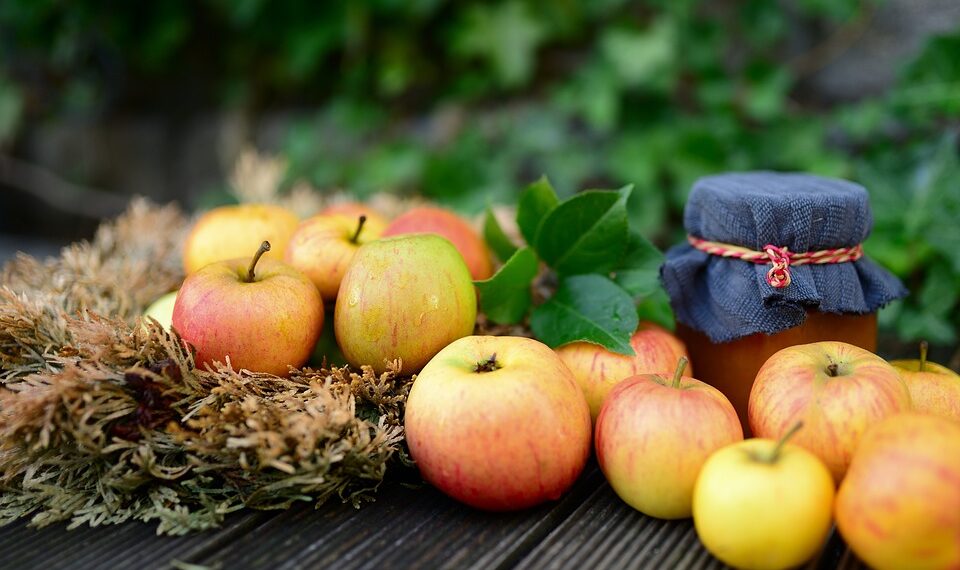 apples 5543778 960 720.jpg