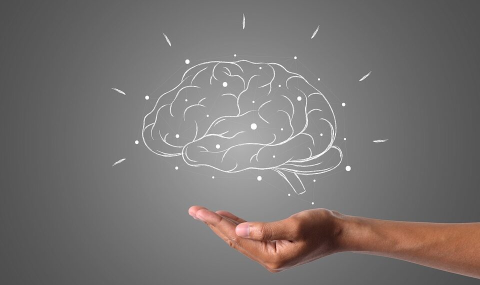 brain 4961452 960 720.jpg