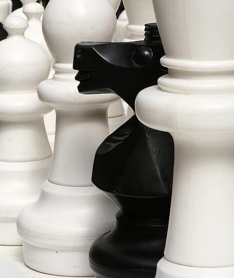 chess 775297 960 720.jpg