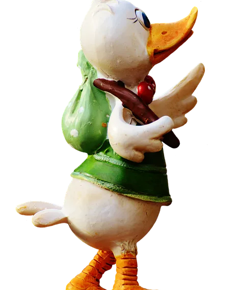 duck 2674672 960 720.png