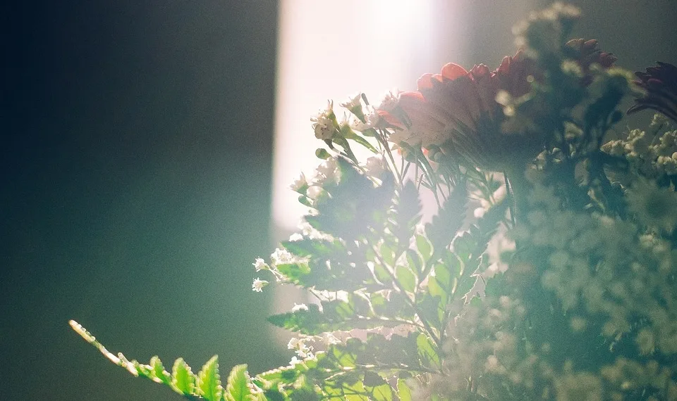 flower 2600147 960 720.jpg