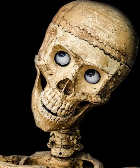 skull 219794 960 720.jpg