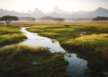 vista 7459763 960 720.jpg