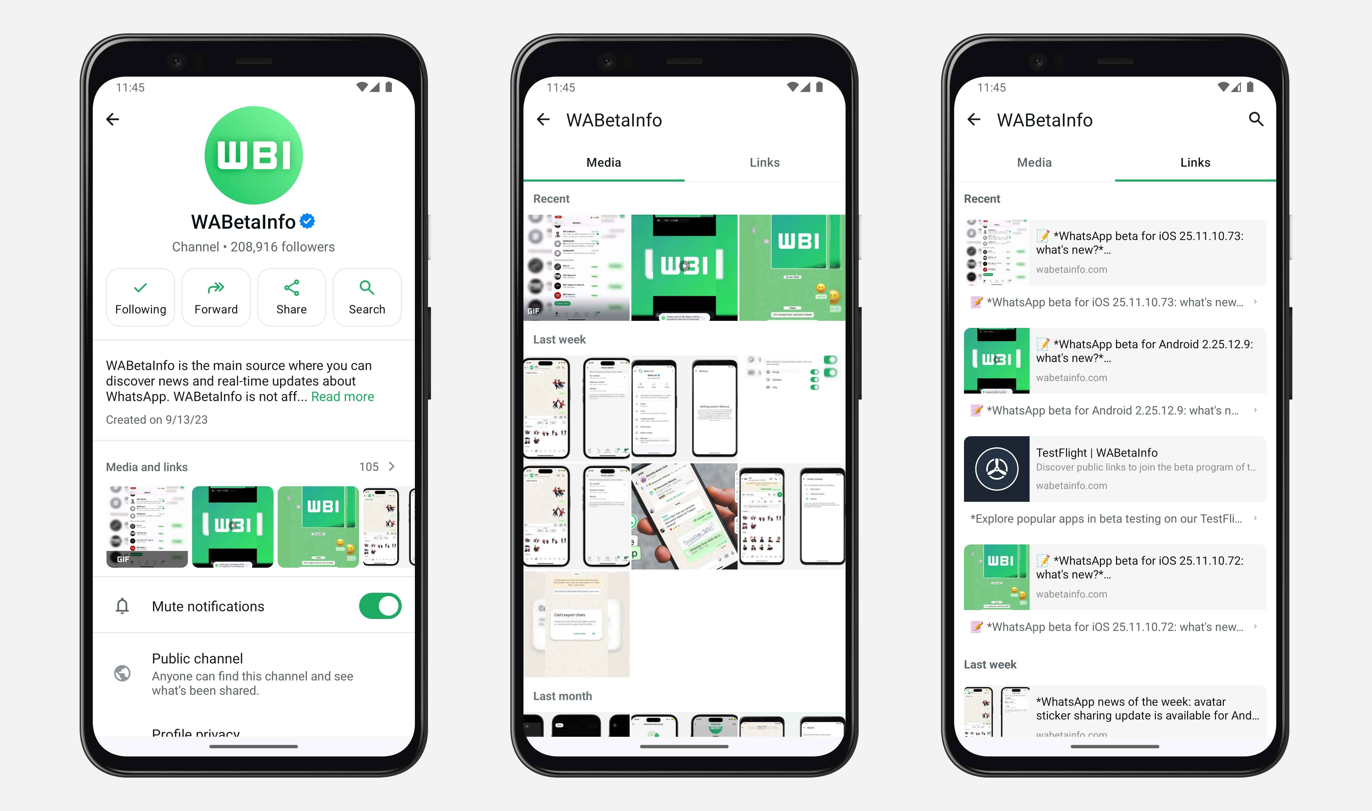 Preview of the new WhatsApp feature. — WABetaInfo/File