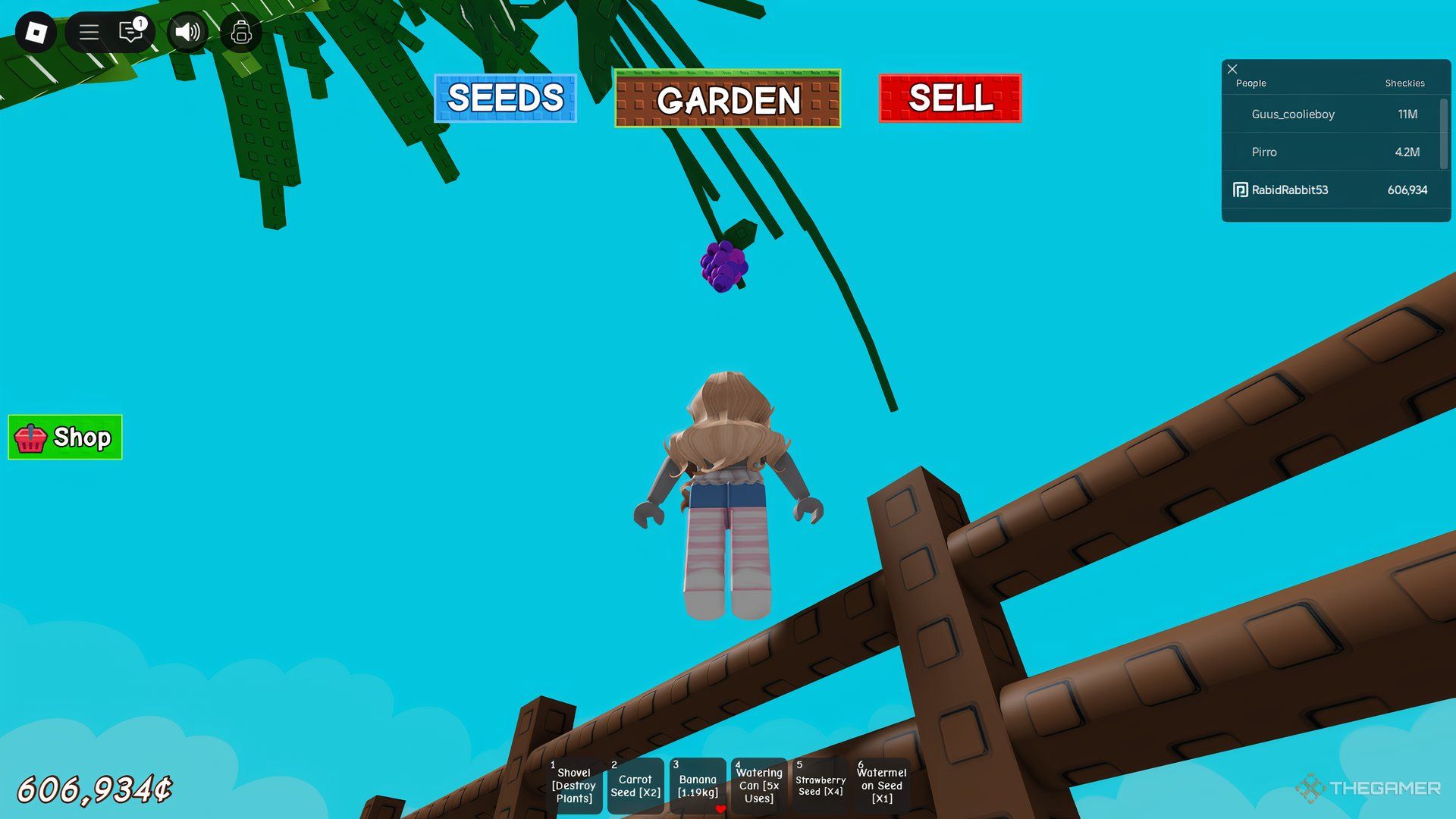 Player under grape vine in Roblox: Grow A Garden.