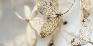 AI Image Generation Tutorial