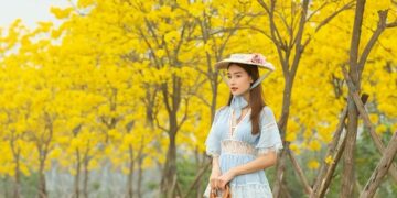 AI Model Fine-Tuning Guide