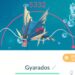 Completing the May 2025 Raid Guide for Pokémon Go