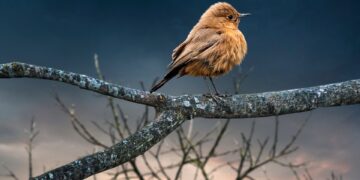 Hailey Bieber Clarifies Why She Unfollowed Husband Justin Bieber