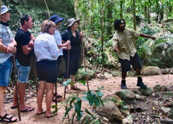 How To AI Ethics Guide