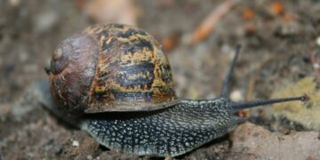 How To Get Started With Spatial Computing