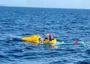 Three Fatalities After Medical Helicopter Crash in Japan