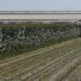 US Farmers Fear Tariffs Could Cut Into Profits