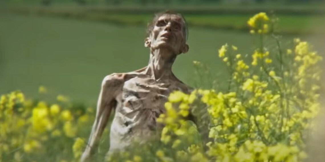 28 Years Later: Release Date, Trailer, Cast & More Details