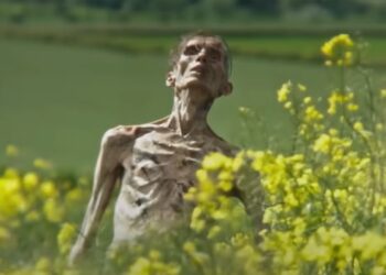 28 Years Later: Release Date, Trailer, Cast & More Details