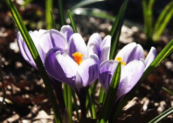 Ultimate Keyword Clustering Guide