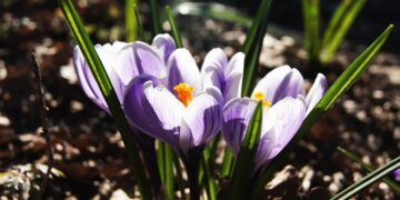 Ultimate Keyword Clustering Guide