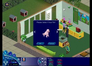 Unleashed: Completing and Caring for Your Gear