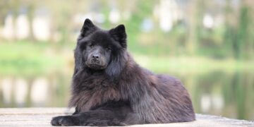 Val Kilmer, Star of 'Top Gun' and 'Batman Forever', Dies at 65