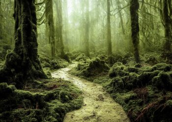 ai generated 7516308 960 720.jpg