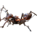 ant 5468074 960 720.png