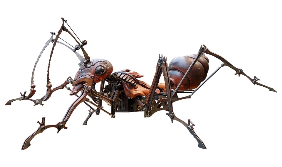 ant 5468074 960 720.png
