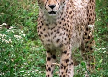 beautiful well 7870373 960 720.jpg