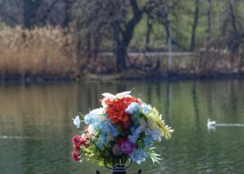 flowers 4867709 960 720.jpg