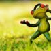 frog 1109819 960 720.jpg