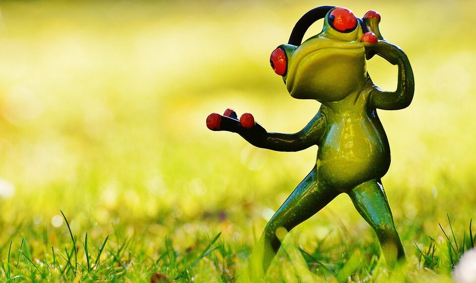 frog 1109819 960 720.jpg