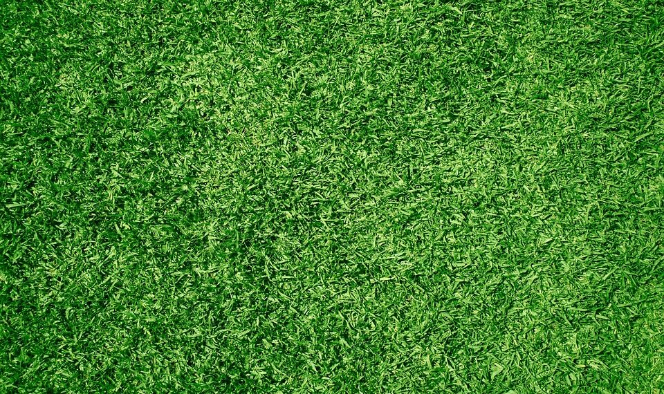 lawn 5897947 960 720.jpg