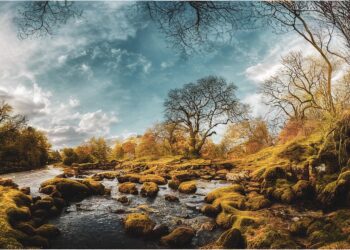 river 7459790 960 720.jpg