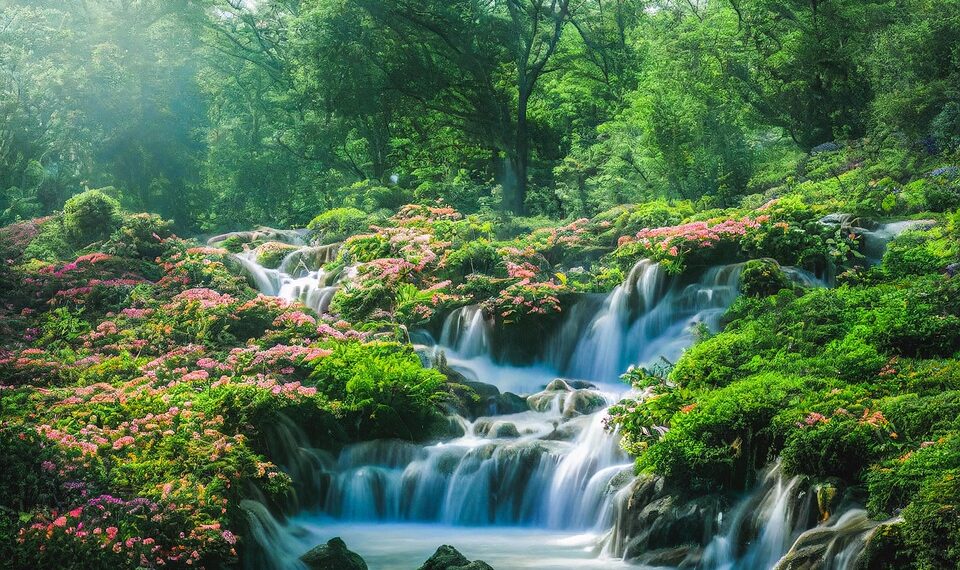 river 7555134 960 720.jpg