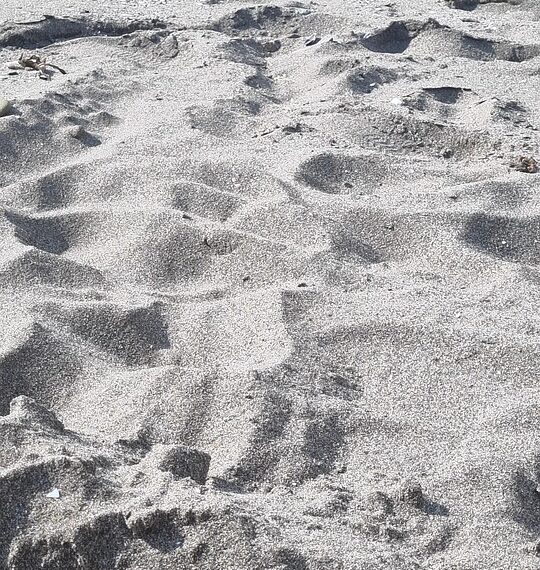 sand 9261453 960 720.jpg