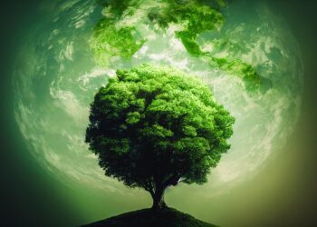 tree 7611691 960 720.jpg