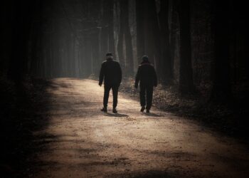 walk 9479264 960 720.jpg