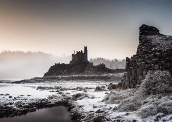 winter 7555154 960 720.jpg