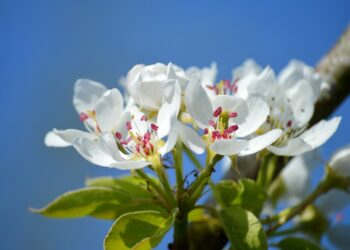 How to Make a Saddle in Minecraft: A Step-by-Step Guide