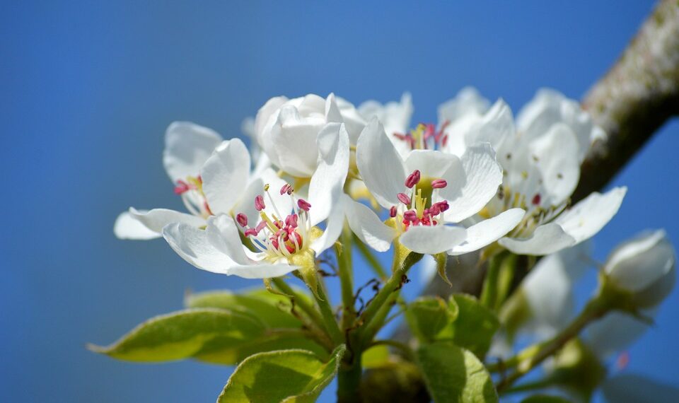 How to Make a Saddle in Minecraft: A Step-by-Step Guide