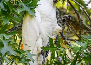 HBO's Harry Potter TV Series Budget Will Astound You