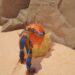 Completing the Search for All Stellaris Prime Orange Goo in Savage Planet
